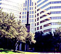 <em>Trusted Translations</em> Dallas